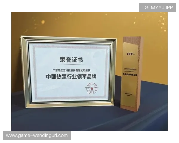 问鼎注册：掌握专业注册技巧助力企业问鼎行业领先地位